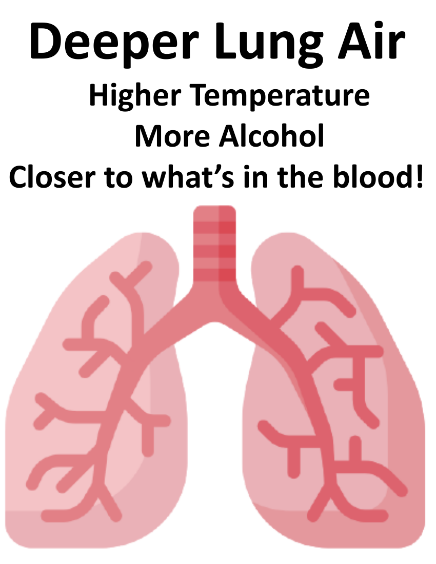 Deeper lung air produces higher breath alcohol readings slide